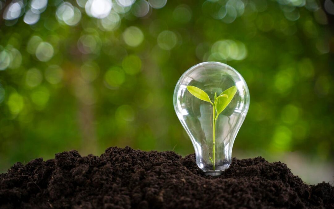 3 Things Your Business Can Do To Go Green